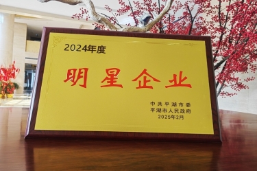 新春新景新氣象 | 景興紙業在平湖三干大會上喜摘榮譽！